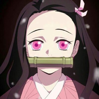 Nezuko Kamado Merch